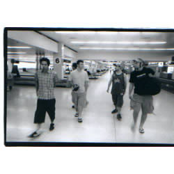 Evergreen Terrace