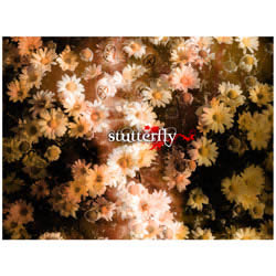 Stutterfly