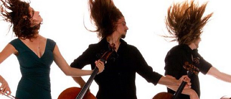 Cello Fury