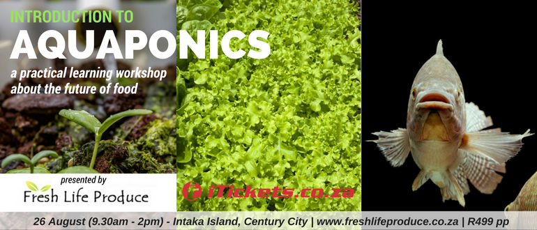 Tickets Introduction To Aquaponics In Cape Town Za Itickets