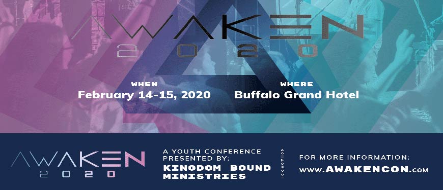 awaken online series in order